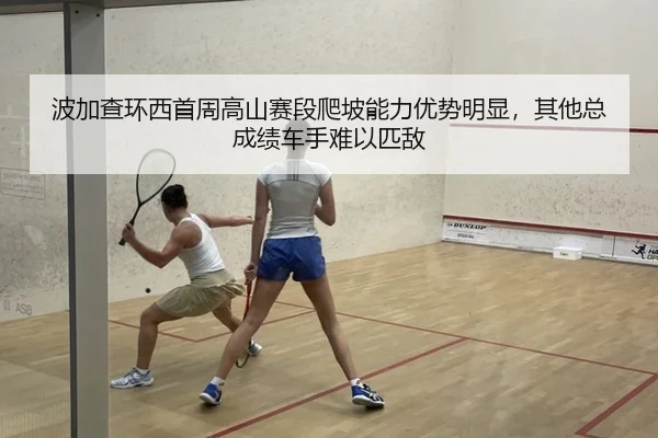 bo-jia-cha-huan-xi-shou-zhou-gao-shan-sai-duan-pa-po-neng-li-you-shi-ming-xian-qi-ta-zong-cheng-ji-che-shou-nan-yi-pi-di-2-493.jpg